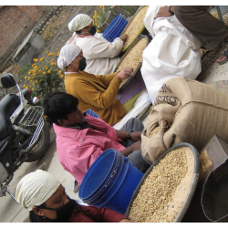 Café en Grains Inde Malabar Moussonné - 500g Chacun Son Café - 5