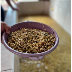 Café en Grains Colombie Supremo Popayán 500 g Chacun Son Café - 2