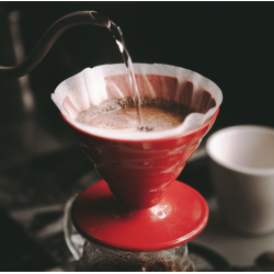 Boîte de 100 filtres blancs Hario pour Dripper 1/4 tasses Hario - 3