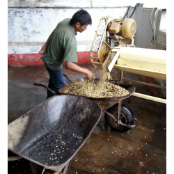 Café en Grains Perou Bio Oxapampa 250 GR Chacun Son Café - 5