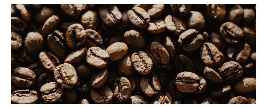 Notre sélection de Café en Grain Bio