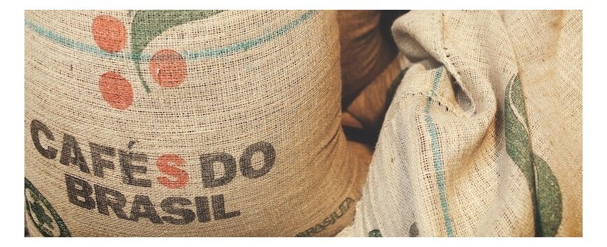 Choisissez la qualité avec nos Café de terroir