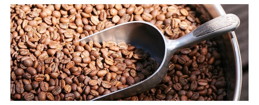 Très bons cafés 80+